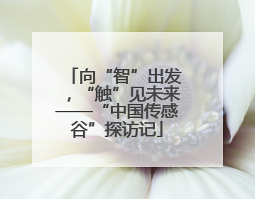 向“智”出发，“触”见未来——“中国传感谷”探访记