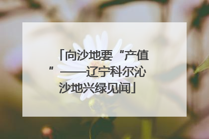 向沙地要“产值”——辽宁科尔沁沙地兴绿见闻