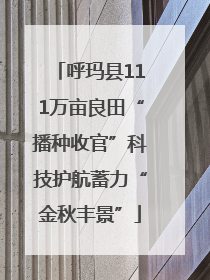 呼玛县111万亩良田“播种收官”科技护航蓄力“金秋丰景”