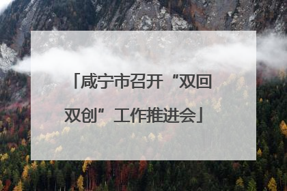 咸宁市召开“双回双创”工作推进会
