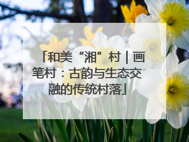 和美“湘”村｜画笔村：古韵与生态交融的传统村落