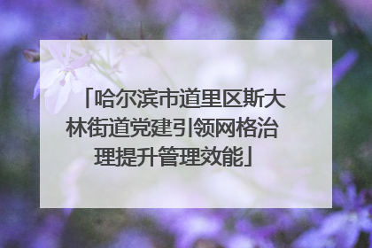 哈尔滨市道里区斯大林街道党建引领网格治理提升管理效能