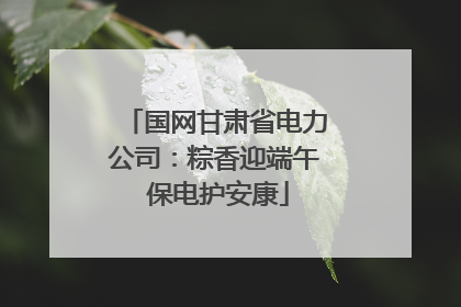 国网甘肃省电力公司：粽香迎端午 保电护安康