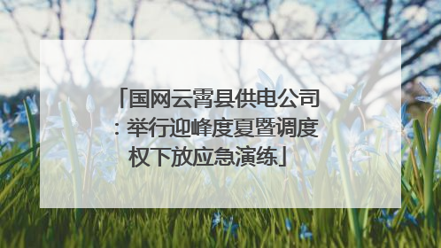 国网云霄县供电公司：举行迎峰度夏暨调度权下放应急演练