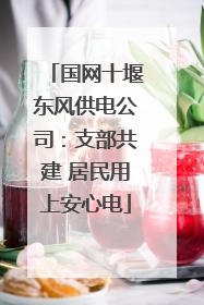 国网十堰东风供电公司：支部共建 居民用上安心电