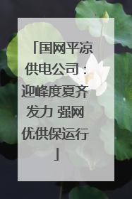 国网平凉供电公司：迎峰度夏齐发力 强网优供保运行