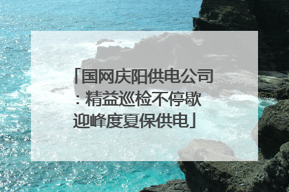 国网庆阳供电公司：精益巡检不停歇 迎峰度夏保供电