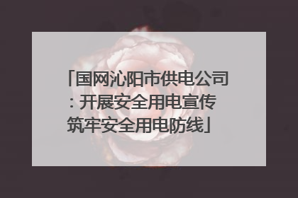 国网沁阳市供电公司：开展安全用电宣传 筑牢安全用电防线