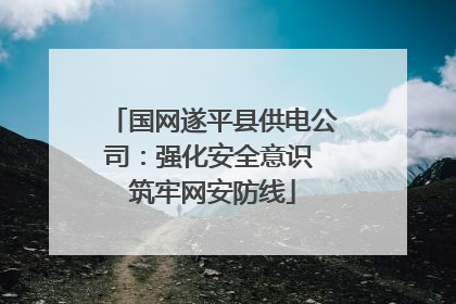 国网遂平县供电公司：强化安全意识 筑牢网安防线