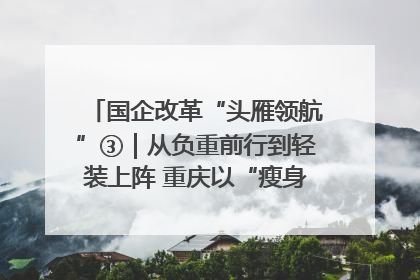 国企改革“头雁领航”③｜从负重前行到轻装上阵 重庆以“瘦身”谋“健体”