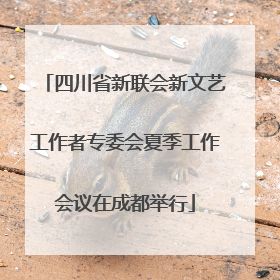 四川省新联会新文艺工作者专委会夏季工作会议在成都举行