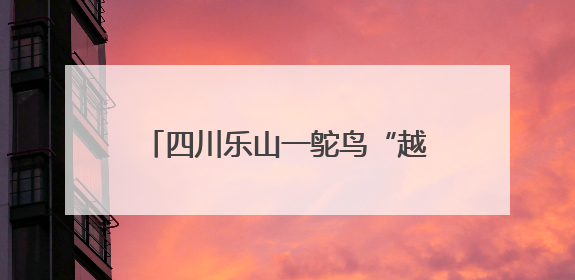 四川乐山一鸵鸟“越狱”马路狂奔，目击者：时速超40码，还对我“笑”了下