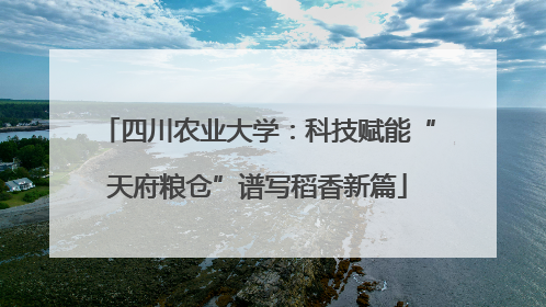 四川农业大学：科技赋能“天府粮仓”谱写稻香新篇