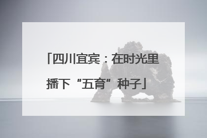 四川宜宾：在时光里播下“五育”种子