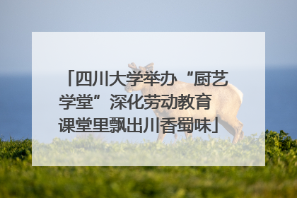 四川大学举办“厨艺学堂”深化劳动教育 课堂里飘出川香蜀味