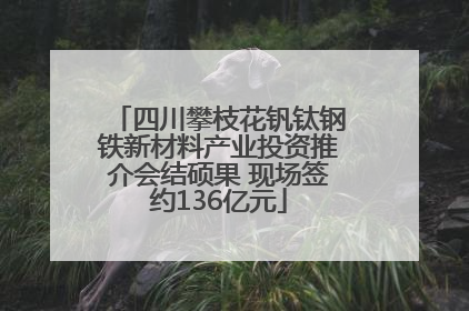 四川攀枝花钒钛钢铁新材料产业投资推介会结硕果 现场签约136亿元