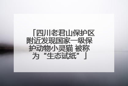 四川老君山保护区附近发现国家一级保护动物小灵猫 被称为“生态试纸”