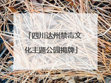 四川达州禁毒文化主题公园揭牌