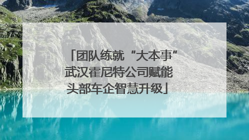 团队练就“大本事” 武汉霍尼特公司赋能头部车企智慧升级