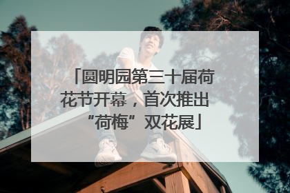 圆明园第三十届荷花节开幕，首次推出“荷梅”双花展