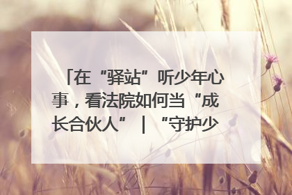 在“驿站”听少年心事，看法院如何当“成长合伙人”｜“守护少年的微笑” 探访记