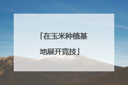 在玉米种植基地展开竞技