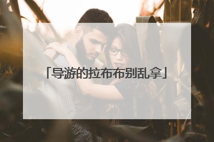 导游的拉布布别乱拿