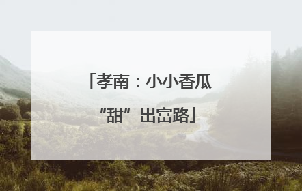孝南：小小香瓜 “甜”出富路