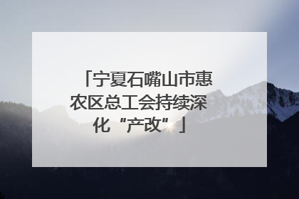 宁夏石嘴山市惠农区总工会持续深化“产改”