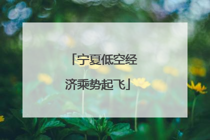 宁夏低空经济乘势起飞