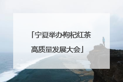 宁夏举办枸杞红茶高质量发展大会