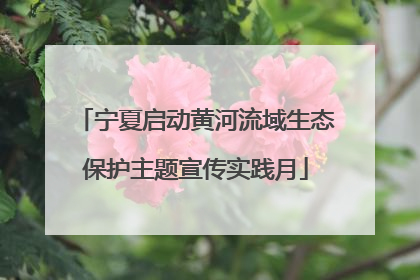 宁夏启动黄河流域生态保护主题宣传实践月