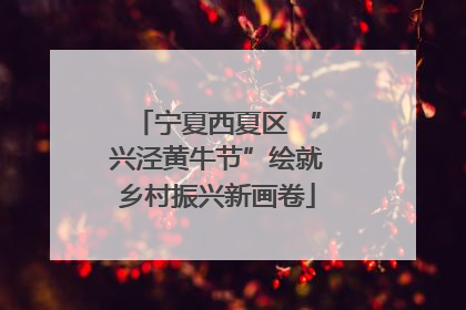 宁夏西夏区 “兴泾黄牛节”绘就乡村振兴新画卷