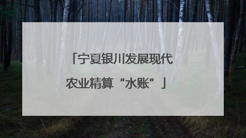 宁夏银川发展现代农业精算“水账”