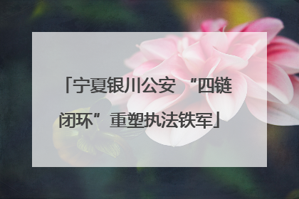 宁夏银川公安 “四链闭环”重塑执法铁军