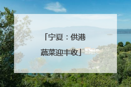 宁夏：供港蔬菜迎丰收