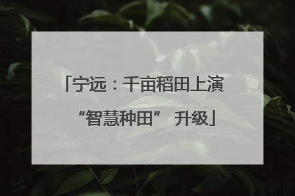 宁远：千亩稻田上演 “智慧种田” 升级