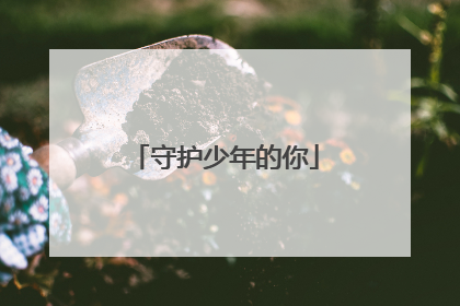 守护少年的你