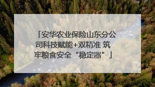 安华农业保险山东分公司科技赋能+双精准 筑牢粮食安全“稳定器”