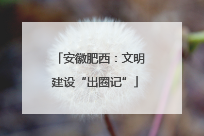 安徽肥西：文明建设“出圈记”