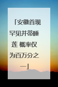安徽首现罕见并蒂睡莲 概率仅为百万分之一