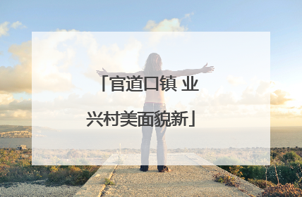 官道口镇 业兴村美面貌新