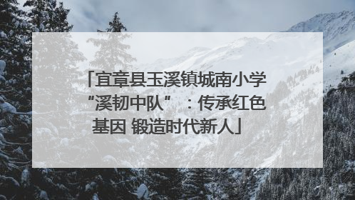 宜章县玉溪镇城南小学“溪韧中队”：传承红色基因 锻造时代新人