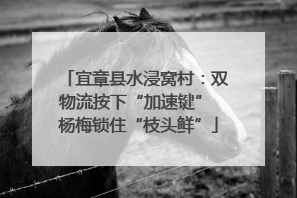 宜章县水浸窝村：双物流按下“加速键” 杨梅锁住“枝头鲜”
