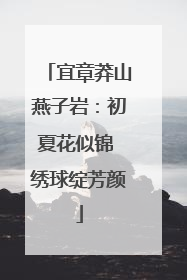 宜章莽山燕子岩：初夏花似锦 绣球绽芳颜