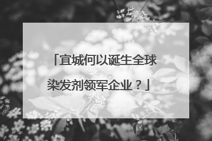宜城何以诞生全球染发剂领军企业？