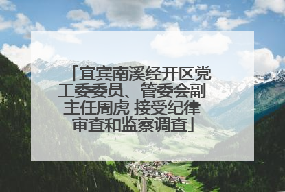 宜宾南溪经开区党工委委员、管委会副主任周虎 接受纪律审查和监察调查