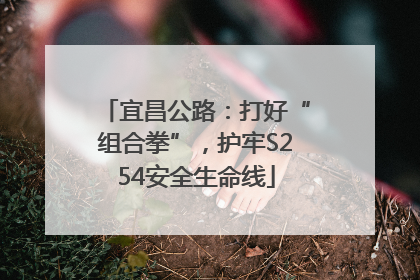 宜昌公路：打好“组合拳”，护牢S254安全生命线
