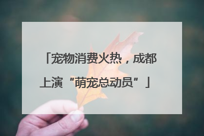 宠物消费火热，成都上演“萌宠总动员”