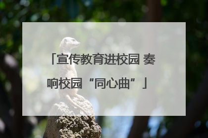 宣传教育进校园 奏响校园“同心曲”